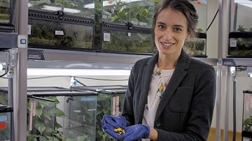 Stanford: Pursuing the Next Great Discovery