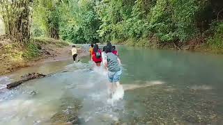 Grade 7 Performance task