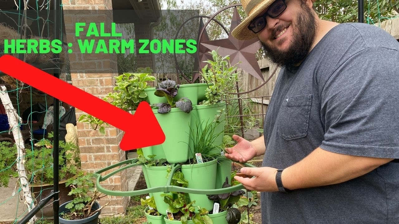 6 Must Have Fall Herbs To Grow In Your Garden (Warm Zones)