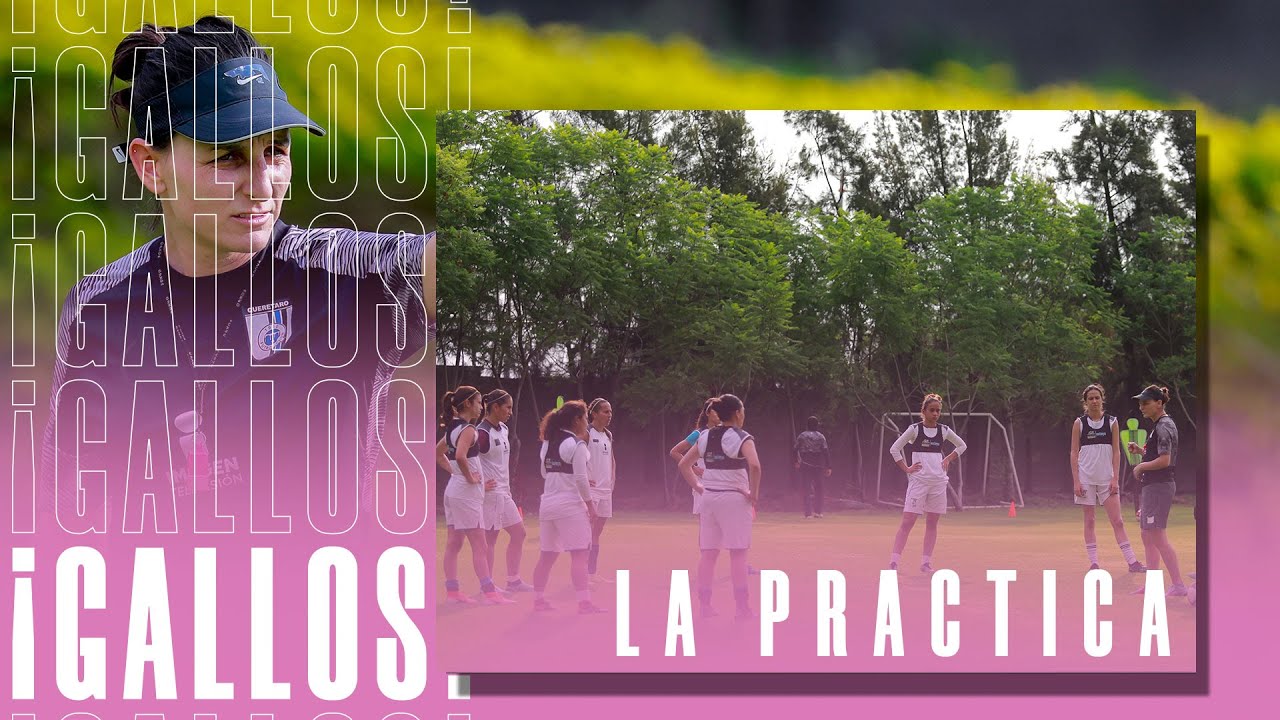 ¡Regresamos con mucha ilusión! 🐔 - YouTube