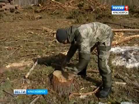 2 ноября 2015 года новости