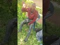 Live highlight