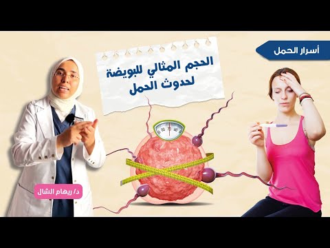 فيديو: كم عدد القياسات الفئوية الصالحة الموجودة؟