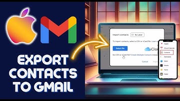 How to Export iPhone Contacts to Gmail (Easiest Method!)