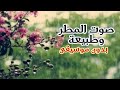 صوت المطر و طبيعة بدون موسيقى