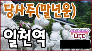 [당사주무료] 당사주 말년운 '일천역' 당사주 풀이 (당사주보는법)