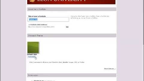 CSS In Digication: Making the Portfolio Wider