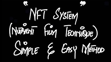Hydroponic NFT System - Easy and Simple Method (Urdu/Hindi)