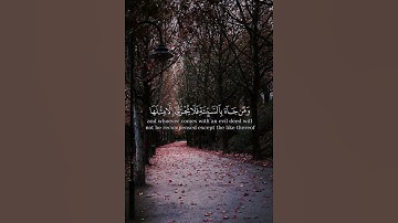 ستوريات واتس اب إنستغرام القران الكريم { من جاء بالحسنة فله عشر أمثالها }