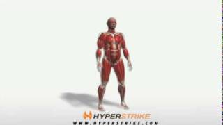 Exercise Videos- Diagonal Woodchop