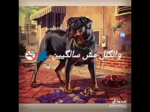 اطلع جدع مع مين
