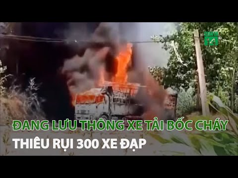 Video: Instasamka Lại Giữa Tâm Vụ Bê Bối: Làm Vỡ Kính Xe Taxi