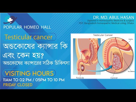 Testicular cancer বা অণ্ডকোষের ক্যান্সার কি? এর কারণ, লক্ষণ এবং হোমিওপ্যাথি সঠিক চিকিৎসা।