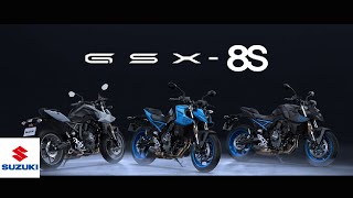 Color Lineup | 2024 GSX-8S | Suzuki