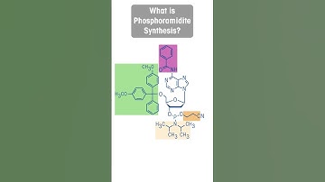 What is Phosphoramidite Synthesis?