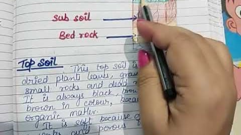 Science Class-5 Chapter-5 Soil (Soil Profile) by Richa Srivastava