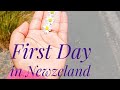 My first day in new zealand   room tour