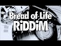 Reggae Riddim Instrumental 2025 | Chill Roots Reggae Beat | Free Use - Bread of Life