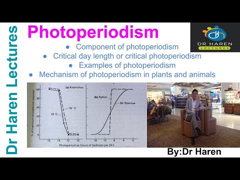 Photoperiodism in plant and animals