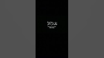  (وَعَسَى أَنْ تَكْرَهُوا شَيْئًا وَهُوَ خَيْرٌ لَكُمْ...) بصوت الشيخ ماهر المعيقلي سورة البقرة. 🍃