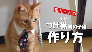How to make the attached collar for male cat
