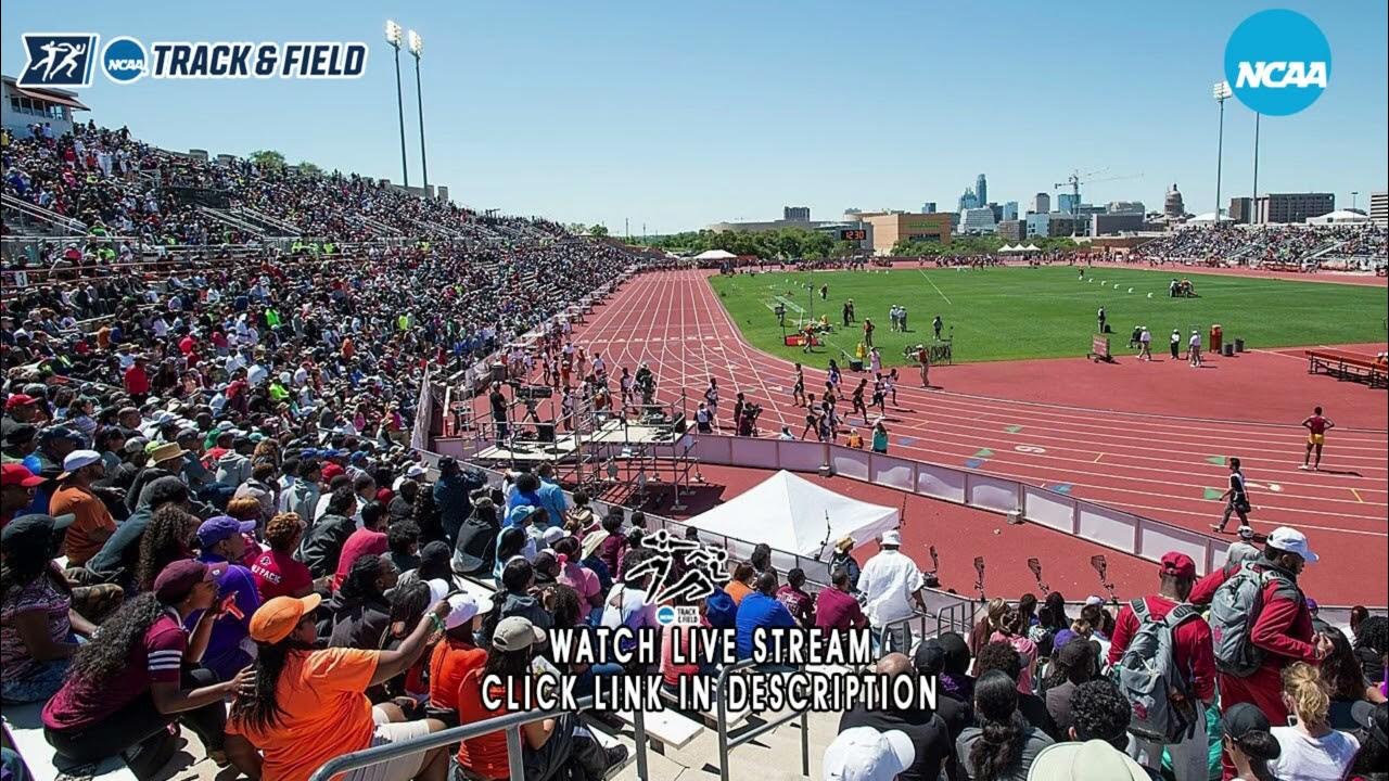 LIVE IC4A/ECAC Outdoor Championships 2023 YouTube