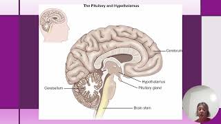 AH2 Mod 6 ch 40 Pathophys Endocrine FALL 2025 recorded lecture