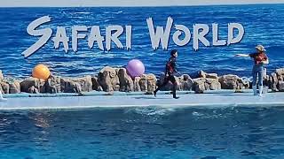 Safari World Dolphin Show Full Performance