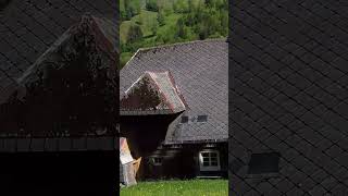 A Little Piece of the Black Forest – Village near the Feldberg