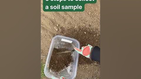DOH Lead Testing - 5 Steps to Collect a Soil Sample
