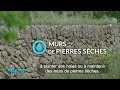 A la source  la viticulture peutelle prserver la ressource en eau 