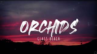 glass beach - "orchids" (Lyrics) 1 Hour