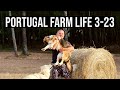 Walk around Farm Tour | PORTUGAL FARM LIFE S3-E23