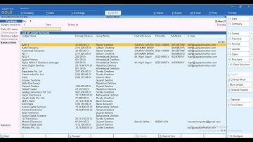 Tally Add On : Ledger & Item Info In Selection Table in Tally Prime software.