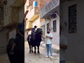 Child wants a ride on cow😍❤️ #ytshorts #funny #qurbanvlogs #petlover #cow #petvlog #viralreels