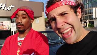 DAVID DOBRIK SURPRISE LITTLE BROTHER WITH TUPAC!