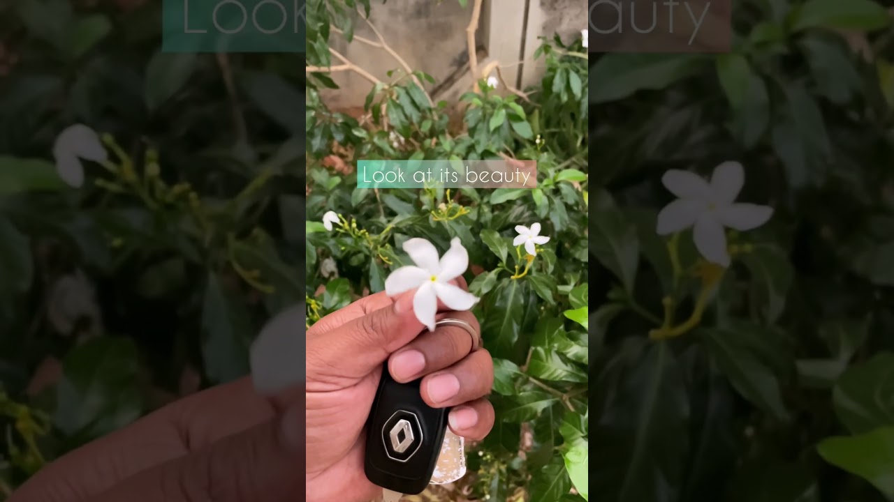 Stress Busters 🔥😍