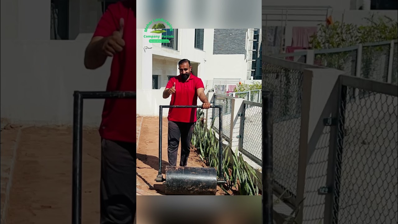 🌱 Mehar Nursery Farm | Best Plants & Landscaping Services in Lahore