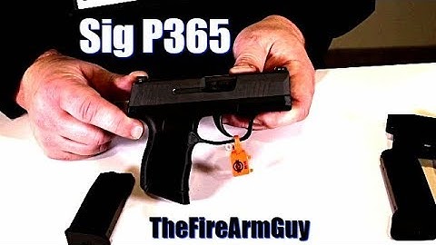 Sig Sauer P365 Sub-Compact 9mm - TheFireArmGuy