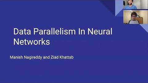 418 Final Project: Data Parallelism in Neural Networks
