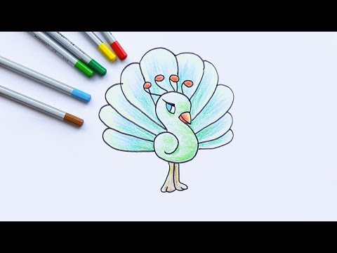 Draw and Coloring Peacock - Tập vẽ và tô màu con công