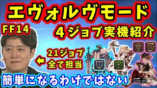 ff14 New Job System Evolve Mode Demonstration By The Staff white Mage Paladin Dragoon Ba