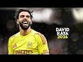 David Raya 2026 - Best Saves & Passes - HD