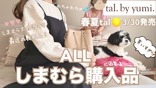 しまむら購入品tal.by yumi.3/30新作品番/着画コーデ/星玲奈さんセレモニー/快適インナー/淡色しまパト大好きママ