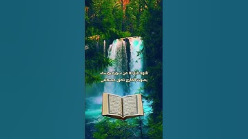 تلاوه مباركه من سوره يوسف بصوت القارئ نامق مصطفى
