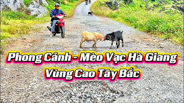 Những Cháu nhỏ đi Học Lội Bộ mấy cây số - Phần cuối chặng đường ở Mèo Vạc - Hà Giang🍀🍀🍀