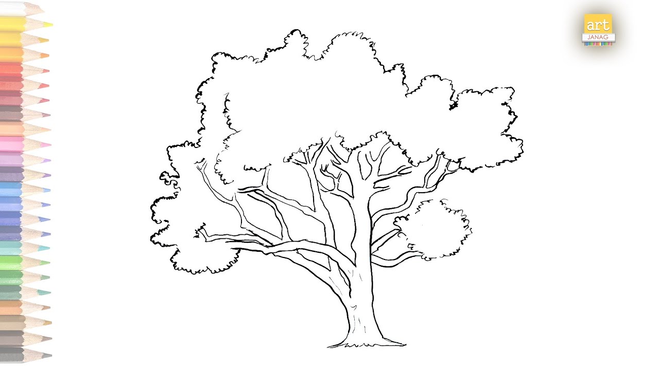 Tree outline drawing 02 / How to draw A Tree drawing step by step ...