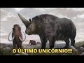 UNICÓRNIOS EXISTIRAM!!! Vejam um animal da pré-história chamado unicórnio-siberiano!