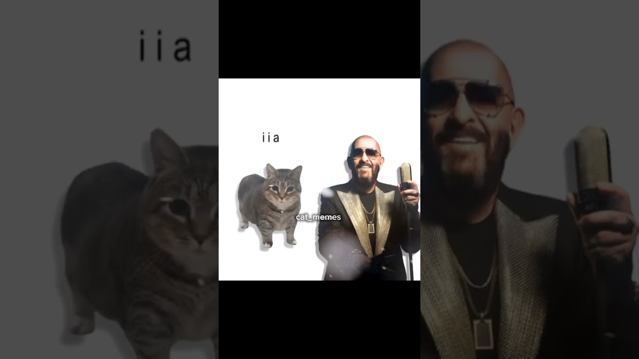 ШУФУТИНСКИЙ - 3 сентября, but it's Oiiai Cat Remix (viiai) # 