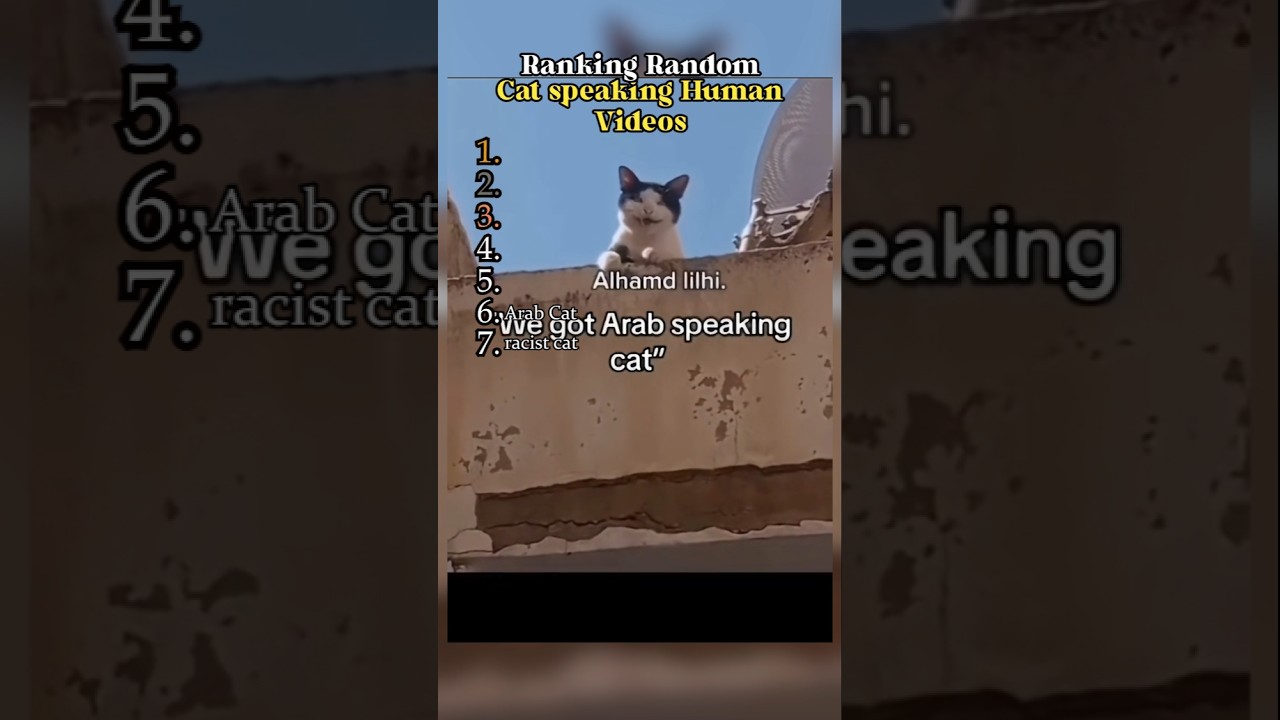 TALKING CATS RANKED🙀🐾 #shorts